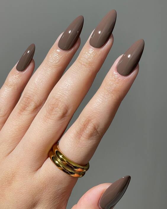 23 Stunning Brown Fall Nails: Elegant Designs for Autumn