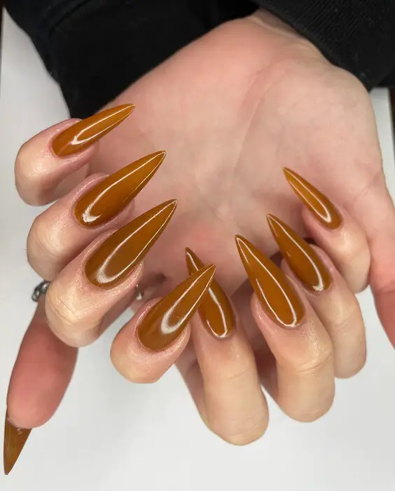 23 Stunning Brown Color Nails Designs: Elegant, Trendy & Easy DIY Ideas for Every Season