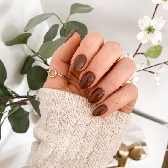 23 Stunning Brown Color Nails Designs: Elegant, Trendy & Easy DIY Ideas for Every Season